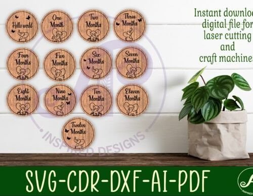 discos-de-hitos-mensuales-del-bebe-creativo-digital Discos De Hitos Mensuales Del Bebe Creativo Digital